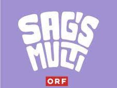 Sagsmulti